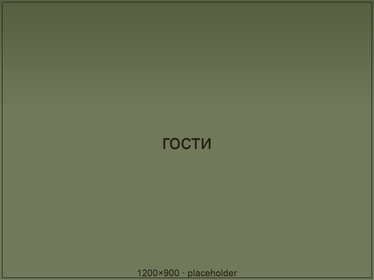 Гости за столом с ноутбуками и кофе