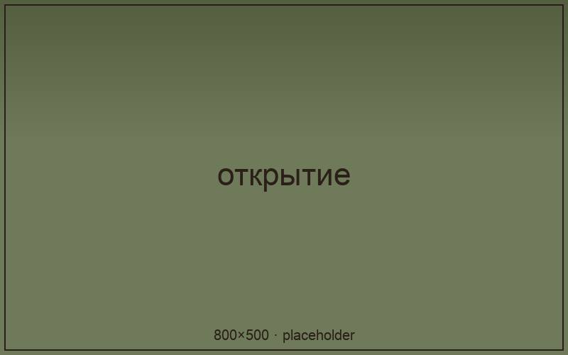 Открытие в Институтском переулке